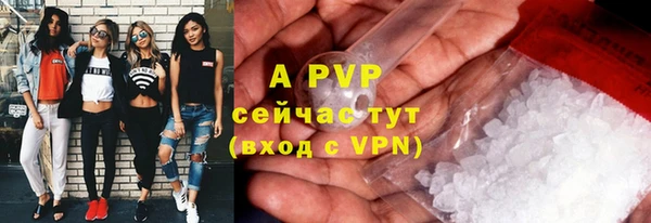 крисы Бронницы