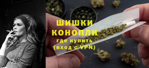 крисы Бронницы