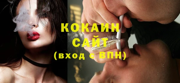 крисы Бронницы