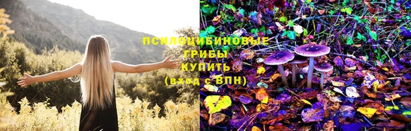ALPHA PVP Бородино