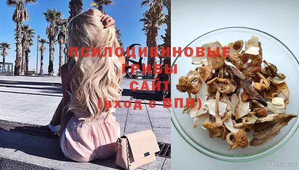 ALPHA PVP Бородино