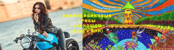 ALPHA PVP Бородино