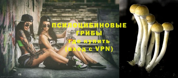 ALPHA PVP Бородино