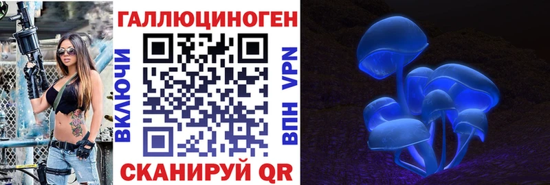 Купить где  Мариинский Посад  Галлюциногенные грибы мицелий 